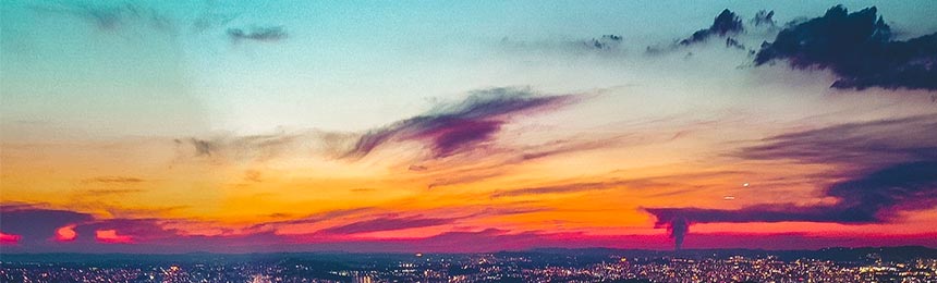 大竹茶虫网_大竹品茶